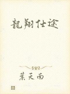 龙翔仕途封面