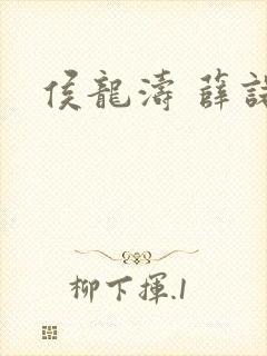 侯龙涛 薛诺
