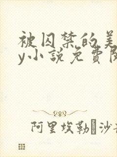 被囚禁的美人by小说免费阅读