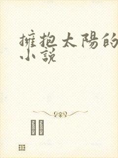拥抱太阳的月亮小说封面