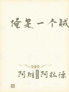 俺是一个贼