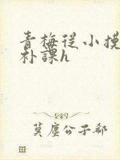 青梅从小摸到大补课h