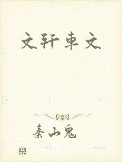文轩车文
