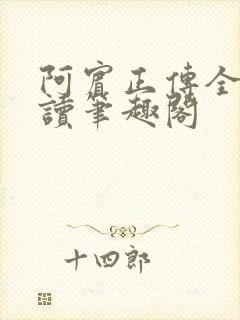 阿宾正传全文阅读笔趣阁