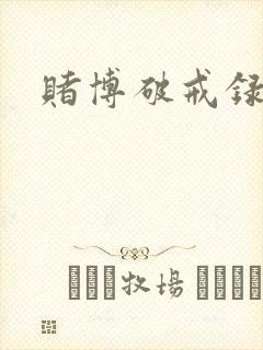 赌博破戒录