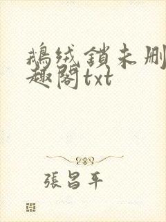 鹅绒锁未删除笔趣阁txt