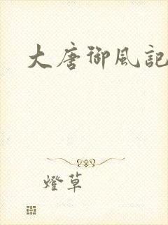 大唐御风记