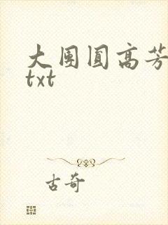 大团圆高芳小说txt