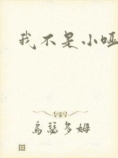 我不是小哑巴封面