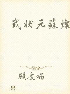 武状元苏灿