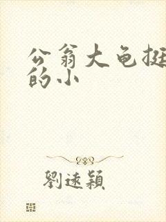 公翁大龟挺进我的小