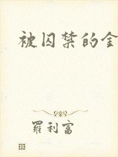 被囚禁的金丝雀