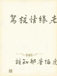 驾校情缘老赵