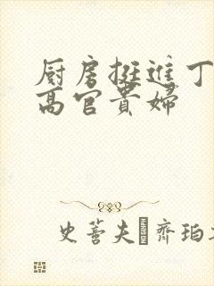 厨房挺进丁字裤高官贵妇