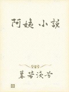 阿姨 小说封面