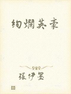 绚烂英豪封面