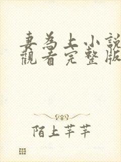 妻为上小说免费观看完整版笔趣阁