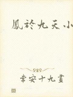 凤于九天小说