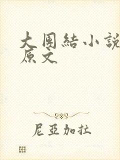 大团结小说阅读原文
