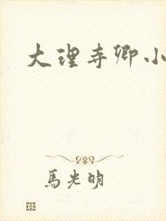 大理寺卿小说