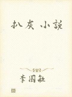 扒灰 小说封面