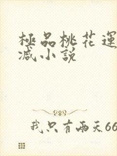极品桃花运未删减小说