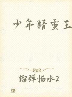 少年精灵王封面