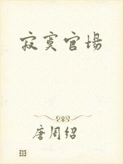 寂寞官场