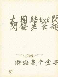 大团结txt闪闪发光笔趣阁