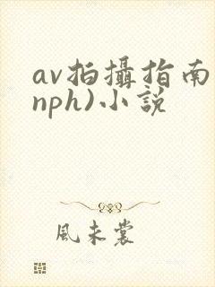 av拍摄指南(nph)小说