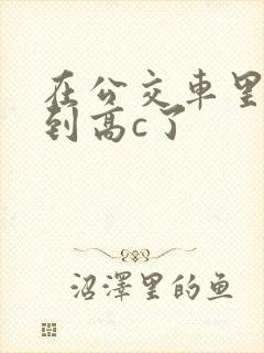 在公交车里c弄到高c了封面