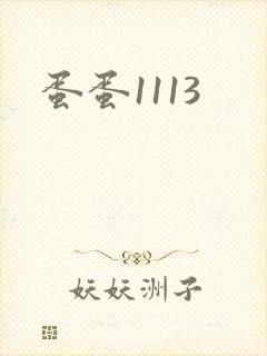 蛋蛋1113
