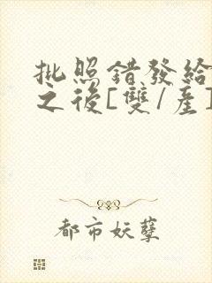 批照错发给情敌之后[双/产]