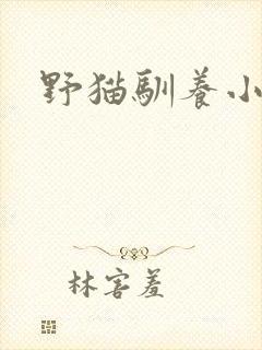 野猫驯养小说封面