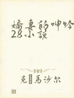 娇妻的呻吟1—28小说