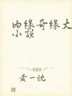 内缘奇缘大团圆小说封面