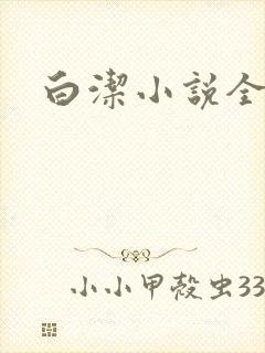 白洁小说全文