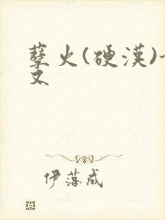 孽火(硬汉)今又