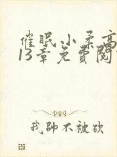 催眠小柔高达第13章免费阅读