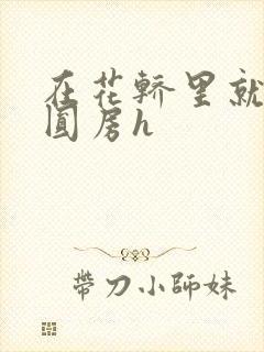 在花轿里就开始圆房h
