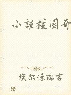 小说校园奇侠