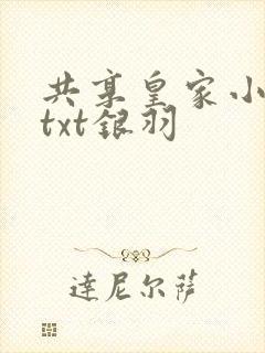 共享皇家小公主txt银羽封面