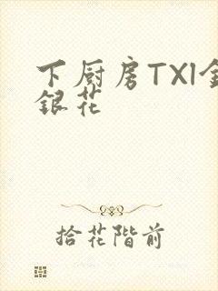 下厨房TXl金银花