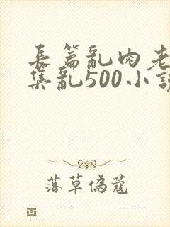 长篇乱肉老师合集乱500小说封面