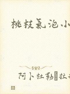 桃枝气泡小说