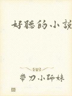 好听的小说名字封面