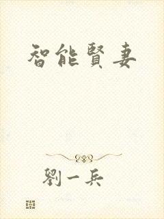 智能贤妻