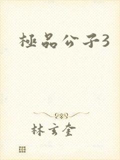极品公子3
