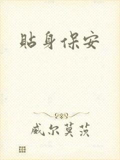 贴身保安封面