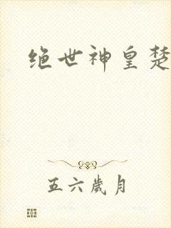 绝世神皇楚风